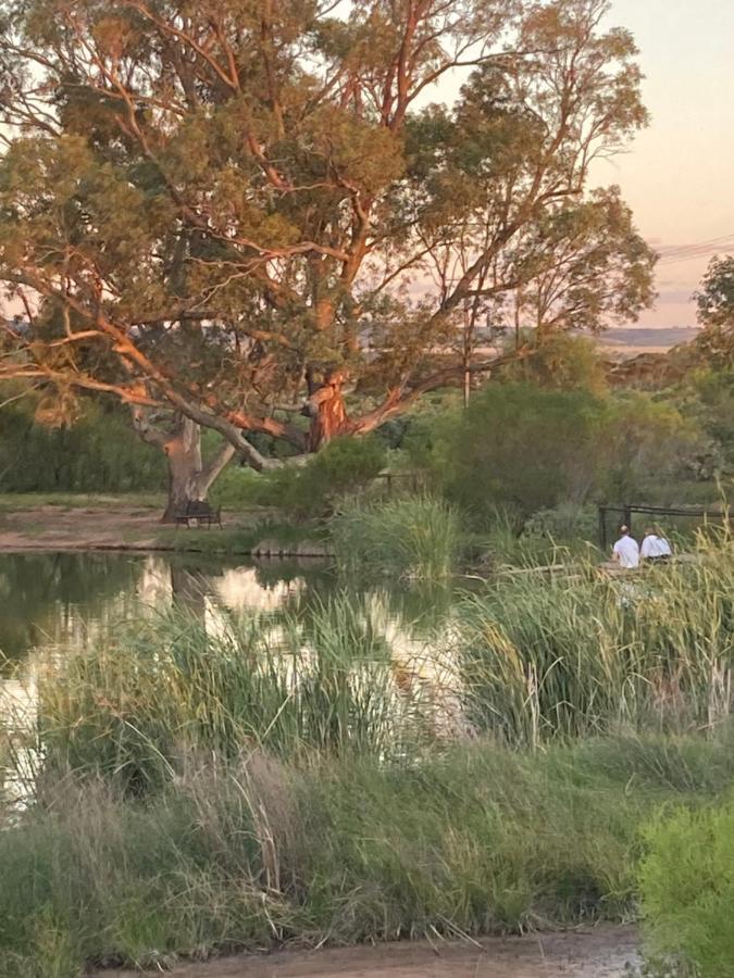Still Earth Port Pirie Εξωτερικό φωτογραφία