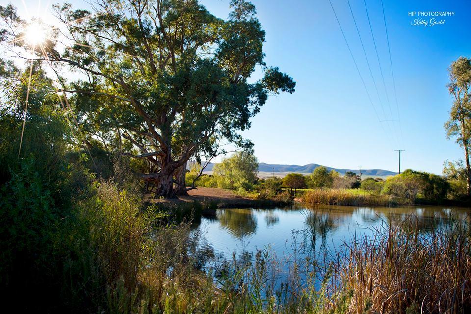 Still Earth Port Pirie Εξωτερικό φωτογραφία