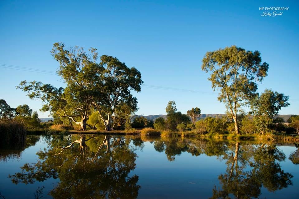 Still Earth Port Pirie Εξωτερικό φωτογραφία